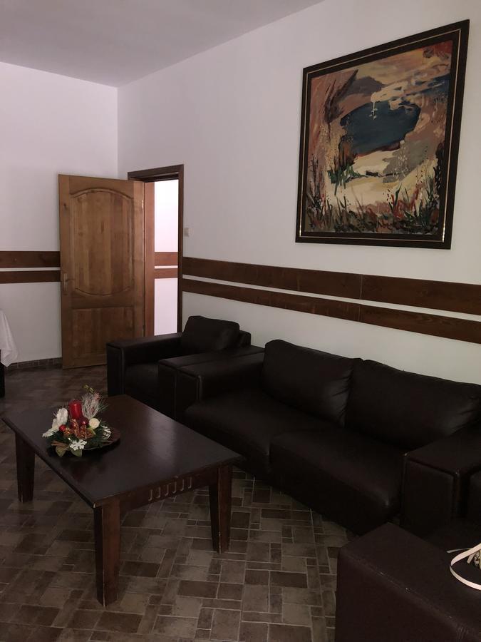 Pensiunea Ovidiu&Paula Ibanesti Ngoại thất bức ảnh