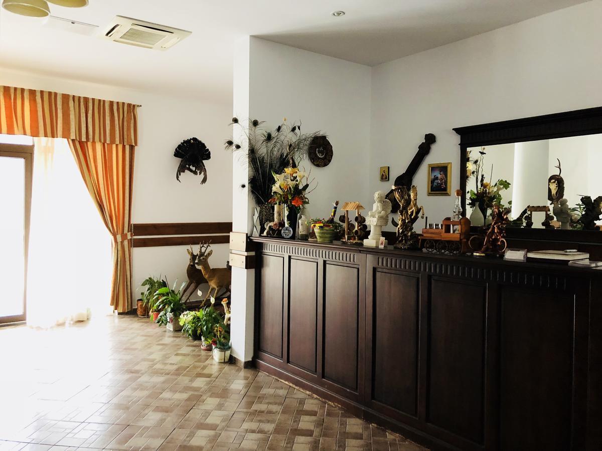 Pensiunea Ovidiu&Paula Ibanesti Ngoại thất bức ảnh