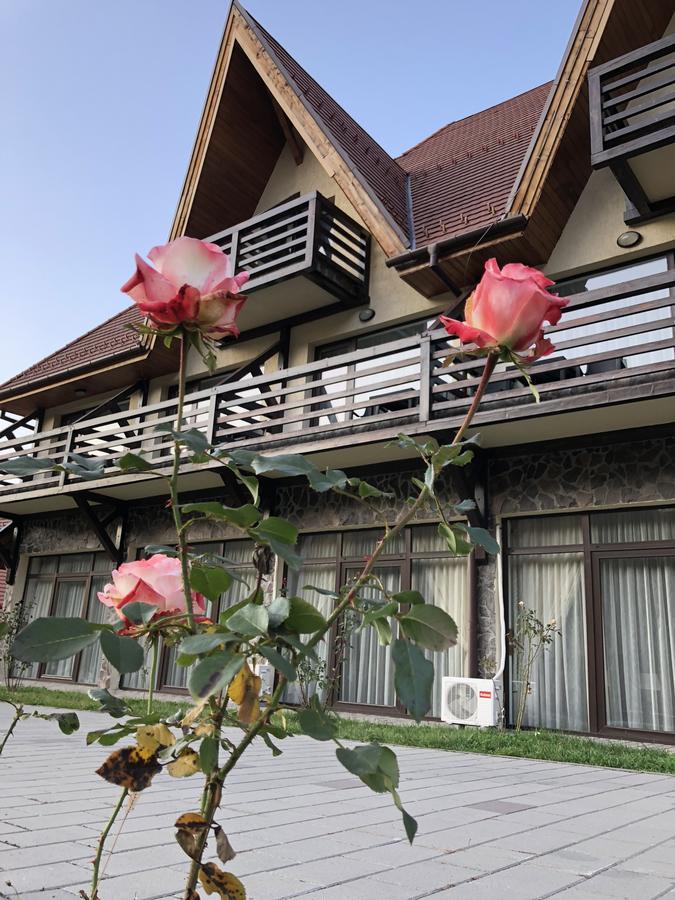 Pensiunea Ovidiu&Paula Ibanesti Ngoại thất bức ảnh